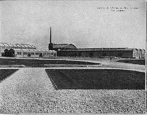 La Senia z